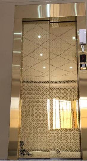 واجهة مصعد ستانلس بنقشة داخلية أنيقة